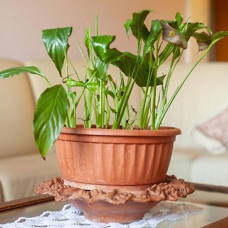 마사 Casa Cesarina 아파트 외부 사진
